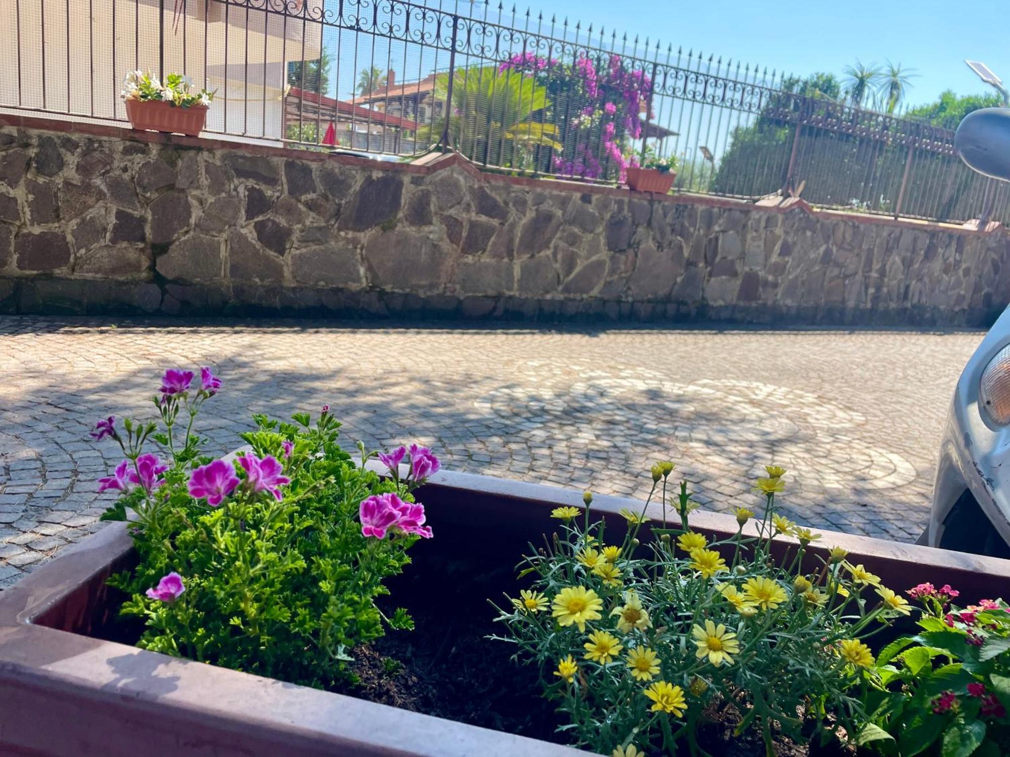 Da Ste Διαμέρισμα Ερκολάνο Εξωτερικό φωτογραφία